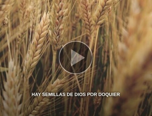 Hay semillas de Dios por doquier