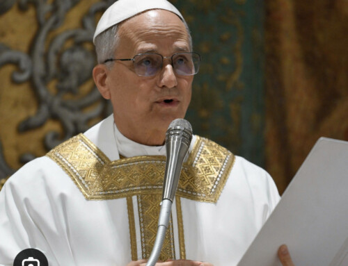 Homilía del Papa León XIV