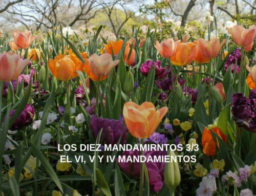 Los Diez Mandamirntos 3/3 El VI, V y IV Mandamientos