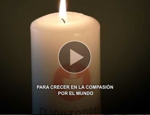 Para crecer en la compasión por el mundo