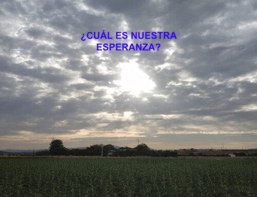 ¿Cuál es nuestra esperanza?