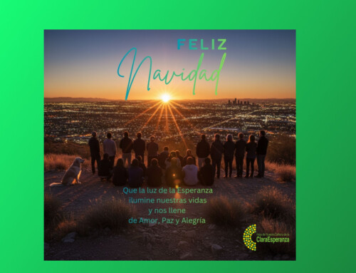 Amor, Paz y Alegría