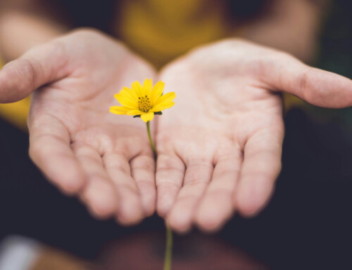 La esperanza siempre toma la forma de un  regreso a la vida