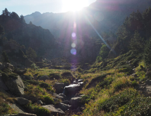 La esperanza, una disposición interior