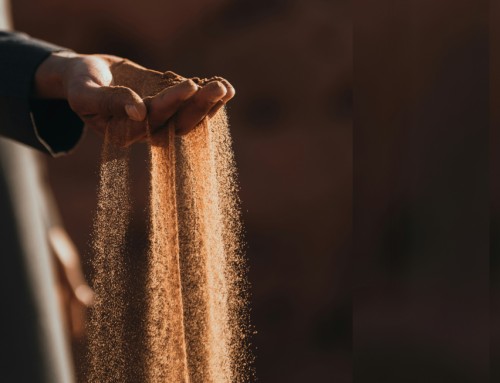 Vivir la Pascua con esperanza renovada