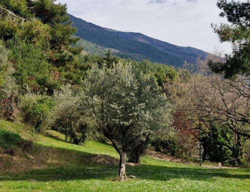 Pascua: memoria y camino