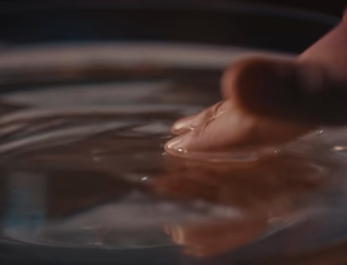 Por el cuido del agua
